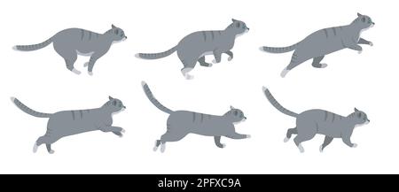 Cute cat cartoon character running vector illustrations set Stock Vector