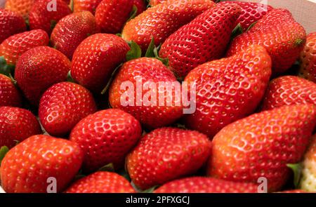 Close up ripe red strawberries, top view. Background of freshly picked strawberries Stock Photo