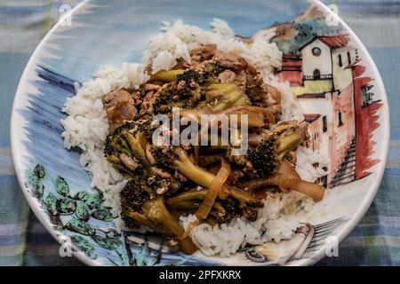 Ground turkey broccoli stir-fry over jasmine rice in a beautiful bowl made in Italy on a blue plaid tablecloth; Taylors Falls, Minnesota USA. Stock Photo