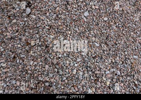 Small sea pebbles on the shore near the forest Stock Photo