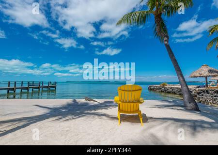 Yellow chair on beach with one lone palm tree and an iguana, Key Largo, Florida, USA Stock Photo