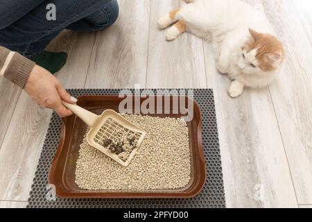 Human best sale litter box