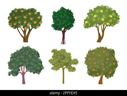 Various fruit trees with ripe fruits cartoon illustration set Stock Vector
