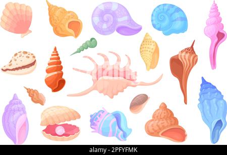 Cartoon scallops. Tropical concha sea snail oyster clam scallop seashells, mollusks spiral shells aquarium or underwater wildlife, colorful conch neat vector illustration of sea scallop marine Stock Vector