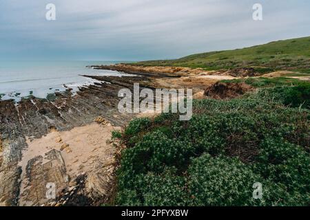 California coastline landscape. Rocky cliffs and native plants on the beach, Montana de Oro State park, gloomy overcast day, California Central Coast Stock Photo