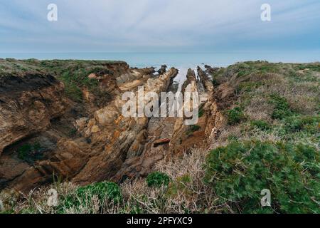 California coastline landscape. Rocky cliffs and native plants on the beach, Montana de Oro State park, gloomy overcast day, California Central Coast Stock Photo