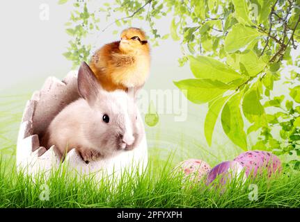 Easter card - A cute chick together with a cute rabbit In an idyllic sunny garden with decorated Easter eggs Stock Photo