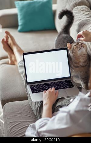 Mockup white screen laptop woman using computer and pet cat lying on sofa at home, back view, focus on screen Stock Photo