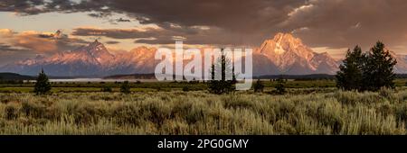 Morning Light Panorama from Behind Sagebrush in Grand Teton National Park Stock Photo