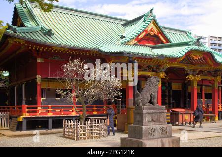 Japan, Tokyo, Nezu Shrine, shinto shrine, Stock Photo