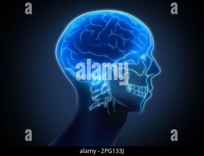 Scan of human brain on dark background, illustration Stock Photo