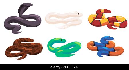 Snakes collection set of snake in many color drawing reptile Stock Vector