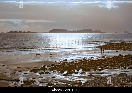 Two people walking and two dogs running along Sandy Beach in Sitka, Alaska, USA Stock Photo