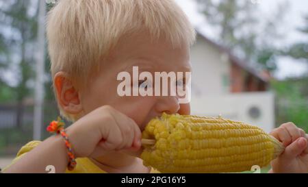 Little blond boy holds in his hands a large cob of boiled corn on a wooden stick. He eagerly nibbles on a piece of tasty hot corn. Hungry child eats w Stock Photo