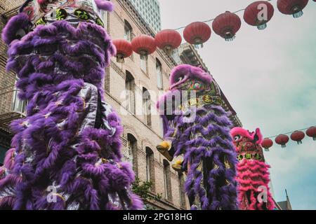 chinese new year dragon dance san francisco