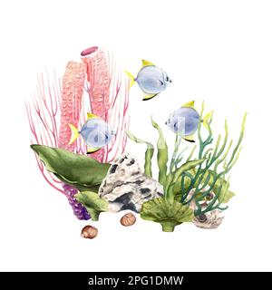 Colourful coral reef underwater composition with silver moony fishes. Watercolor illustration isolated on white Stock Photo