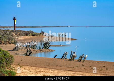 Beach in front of Sanlúcar de Barrameda Parque Nacional de Doñana National Park, Almonte, Huelva province, Region of Andalusia, Spain, Europe Stock Photo