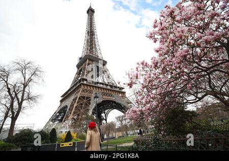 Paris, France. 19th Mar, 2023. A woman passes by magnolia blossoms at the Champ de Mars near the Eiffel Tower in Paris, France, March 19, 2023. Credit: Gao Jing/Xinhua/Alamy Live News Stock Photo