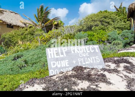 Tulum, Quintana Roo, Mexico, A sign of protection of the dune with vegetation Stock Photo