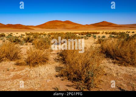 Sossusvlei, Red Sand Dunes in Namibia, located in the southern part of the Namib desert. Stock Photo