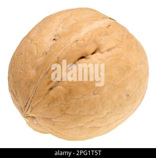 Walnut isolated on white background Stock Photo