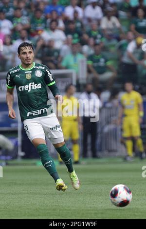 SP - Sao Paulo - 04/03/2022 - PAULISTA 2022 FINAL, PALMEIRAS X SAO PAULO -  Palmeiras player Raphael Veiga celebrates his goal during a match against Sao  Paulo at the Arena Allianz