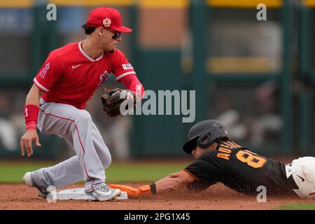 San Francisco Giants' Brett Auerbach during a spring training baseball game  in Oakland, Calif., Sunday, March 26, 2023. (AP Photo/Eric Risberg Stock  Photo - Alamy