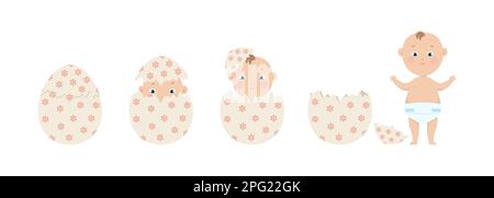 Human baby hatching from egg, embryo development evolution, vector illustration Stock Vector