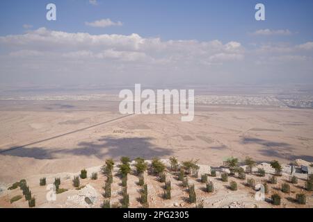 Desert landscape with growing young trees. Stock Photo