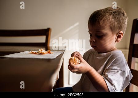 Toddler peeling clementine at kitchen table Stock Photo