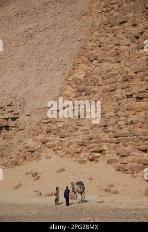 Egypt, Dashur, Sneferu's Bent Pyramid, with camel and figures. Stock Photo