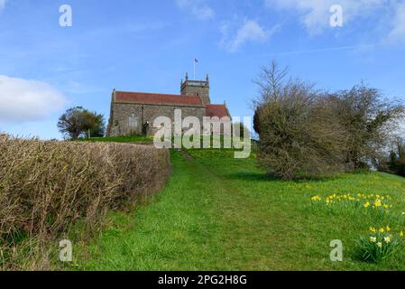 St Arilda church on a hill, Oldbury-on-Severn, South Gloucestershire, England, UK with spring daffodils in March Stock Photo