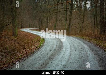 Double bend on the gravel road in the dark forest Stock Photo