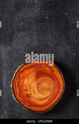 Plum tree trunk slice on black chalkboard background. Flat lay. Top view. Circular piece of plum on black background Stock Photo