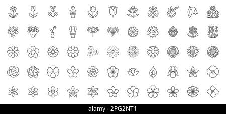 Flowers line icons set. Blooming plants - rose, tulip, daisy bouquet, sunflower, lotus, chamomile, dandelion, chrysanthemum, lily vector illustration Stock Vector