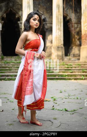 Portrait of Beautiful Indian Bengali Female Woman in Red and White  Traditional Ethnic Saree and Jewellery in Studio Lighting Stock Image -  Image of mahalaya, asian: 231517005