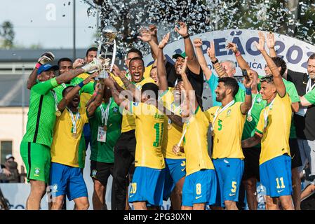 Brazil are the Copa América champions – Beach Soccer Worldwide