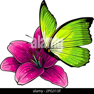 morpho butterfly on white background. Vector illustration. Stock Vector