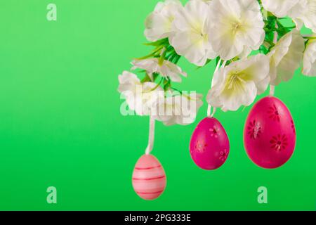Three pink easter eggs hanging at branch in bloom on vibrant green background Stock Photo
