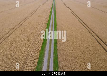 Straight field path leading through stubble fields, aerial view. Summer, Schleswig-Holstein, Germany Stock Photo