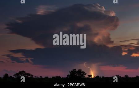 Scenic view of a cumulo-nimbus cloud over at dusk with lightning bolts striking the ground beneath Stock Photo