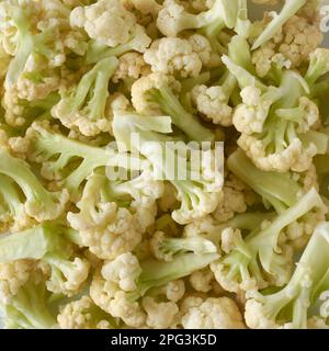 pieces of cut cauliflower ready for cooking, close-up of yellowish green popular vegetable in full frame, food background Stock Photo