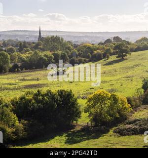 Trees begin to show autumn columns on a sunny day in Stoke Park, with the cityscape of Bristol behind. Stock Photo