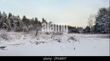 Snow layer covering drift wood branches and stones near river, blurred dark trees in background - cold winter landscape Stock Photo