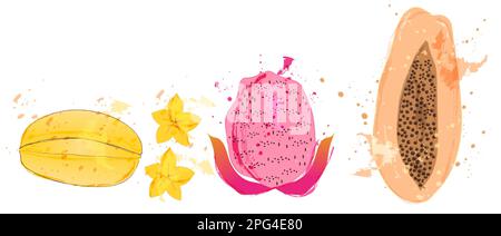 Papaya, dragon fruit and starfruit vector. Exotic fruits watercolor splash Stock Vector
