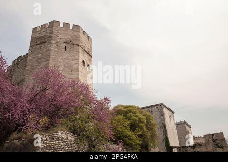 CONTENT] Yedikule Fortress , meaning Fortress of the Seven Towers is  Photo d'actualité - Getty Images