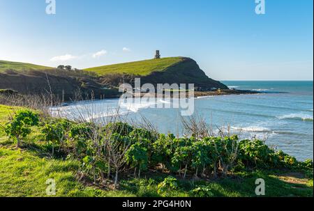 View of Kimmeridge bay cliffs from car park with green coast bushes and grass with Clavell Tower on top of the cliff top with blue sky. Stock Photo
