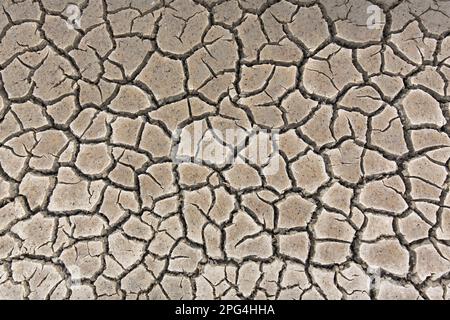 Abstract pattern of dry cracked mud in dried up wetland caused by prolonged drought in summer in hot weather temperatures Stock Photo