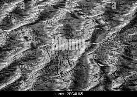 Flooded grass, waves on the Weser river with sun reflexes, Wesertal, Weserbergland; Germany Stock Photo