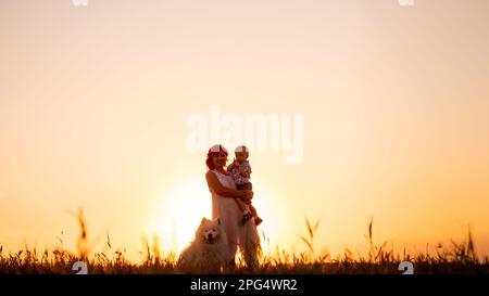 Mothers silhouette with little son in arms and Samoyed in sunset on the field. Orange natural background. Panoramic view. Traveling with children, pet Stock Photo